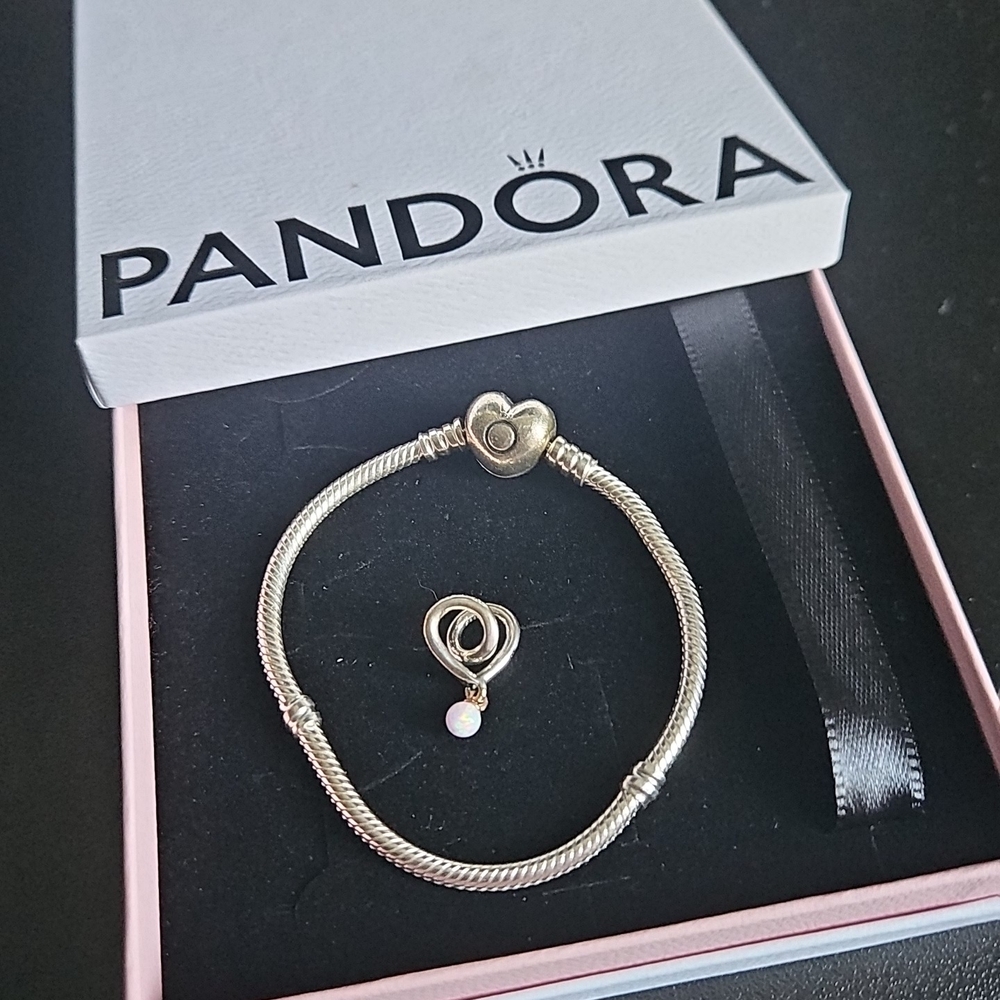 Pandora Silver Snake Chain Bracelet with Charm